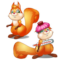 Naklejka premium Healthy and diseased squirrel isolated on white background. Vector cartoon close-up illustration.