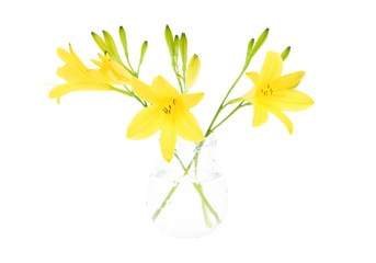 Yellow lily flower in glass isolated on white background 