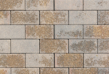 wet red paving tiles as texture for the background, masonry.