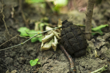 Echo of World War II, in the forest
