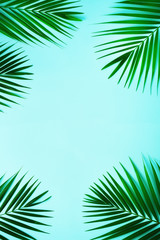 Fototapeta na wymiar Tropical palm leaves on pastel blue background. Minimal summer concept. Creative flat lay with copy space. Top view green leaf on punchy pastel paper