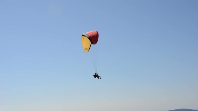 fliegen