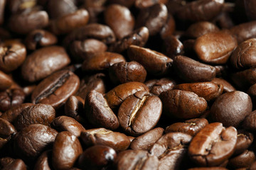 Roasted coffee beans