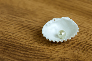 White shell with oyster pearl in it. Luxury jewelry accessory.