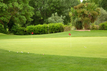 Fototapeta premium Golf course with trees, balls and pegs