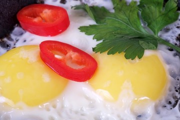 Fried eggs with greens and paprika isolated on white background