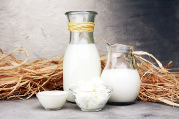 milk products. tasty healthy dairy products on a table on