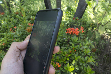 taking photo of natural with smart phone