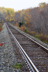 Fototapeta premium Single train tracks in a rural area during the fall season with coloured leaves along each side