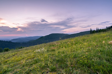 Obraz premium Sonnenuntergang Schwarzwald