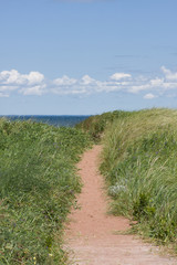 Sandy Path through the beach grass to the blue sea