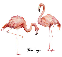 Watercolor two pink flamingo set. Hand painted bright exotic birds isolated on white background. Wild life illustration for design, print, fabric or background.