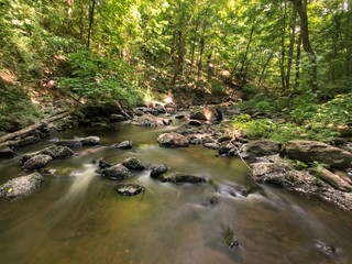 Deep Forest Stream