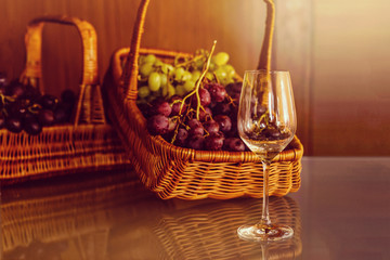 glasses and bunch of grapes in basket against vineyard in spring. Vintage look