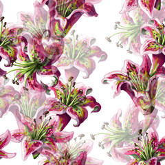 Seamless pattern with lilies flowers on white background. Vector illustration.