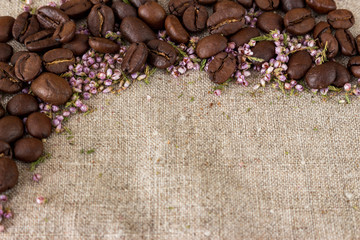 Coffee beans with heather flowers on the neutral background