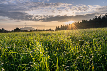 Sonnenaufgang am Landwassereck