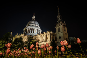 Saint Paul's Cathedral	