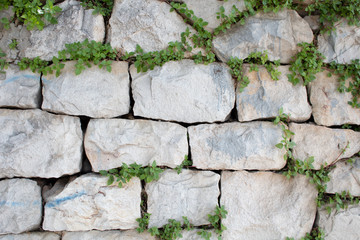 Photo of texture