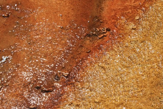 abstract pattern of colorful algae in hot geyser runoff, Yellowstone N.P.