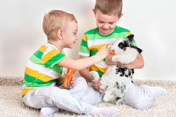 Two brothers feed their beloved rabbit with a carrot.	