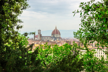 Fototapeta premium panoramic view of Florence in Tuscany