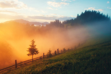 Mountain valley during sunrise. Amazing nature scene glowing by sunlight. Located place: Carpathians, Ukraine, Europe