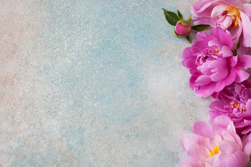 Background with pink peonies for text congratulations, invitations