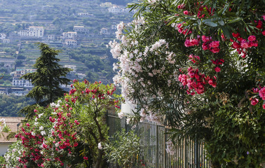 Street in Ravello, Amalfi Coast, Italy, Europe