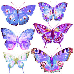 beautiful blue butterfly,watercolor,isolated on a white