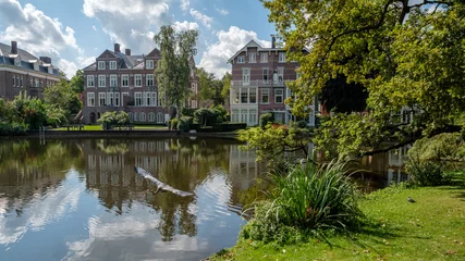 Fototapeten Ein Blaureiher startet an einem Teich im Stadtpark Vondelpark im Zentrum von Amsterdam, Niederlande © FotoCorn