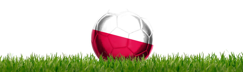 Fototapeta na wymiar Fussball mit polnischer Flagge