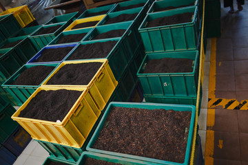 Different colored boxes with black tea at the tea factory.