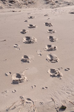 Spuren im Sand