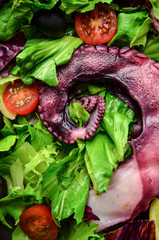 Fresh salad with grilled octopus