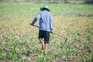farmer holding spade working in field