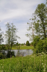 landscape Russia river forest