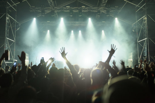 Crowd at a rock concert