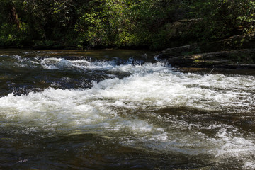 Stormy mountain river in the forest on a summer sunny day