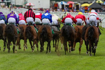 Horse race galloping down the track towards the finish line
