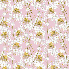 Watercolor horseradish flowers. Seamless pattern. Botanical illustration of organic, eco plant. Illustration For Food Design.