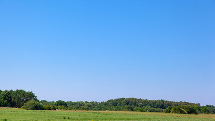 green meadow and forest under the blue sky