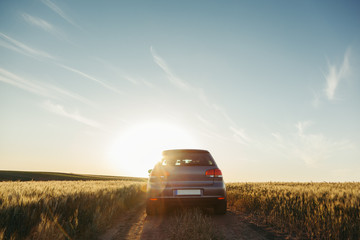 Car in the field in summer sunset - obrazy, fototapety, plakaty