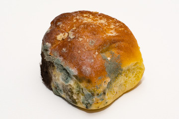 Bread with a mold isolated on white background. Parasite.