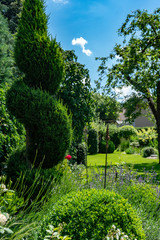 Wunderschöner Garten mit Blumen und Bäumen