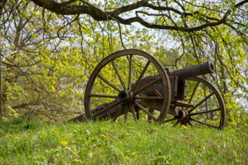 Fototapeta na wymiar gunpowder cannon used during the Second World War. Beautiful green surroundings