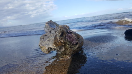 Volcanic rock on beach - 207986882