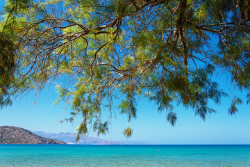 Tropical beach with tamarisk and turquoise water in Istron, Crete, Greece