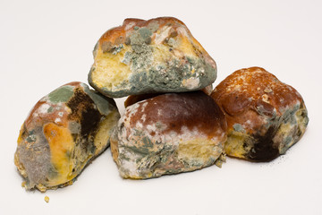 Bread with a mold isolated on white background. Parasite.