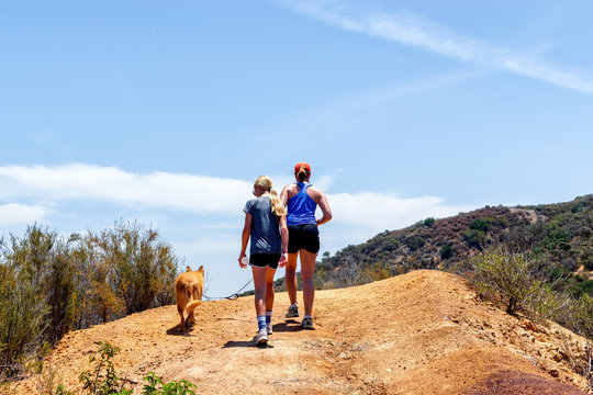 Mother And Daughter Reach The Top Of Hill On Hike With Family Dog